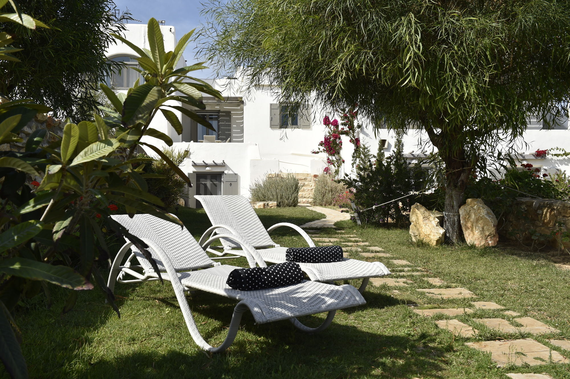Naoussa Hills Boutique Resort- Adults Only Párosz Kültér fotó