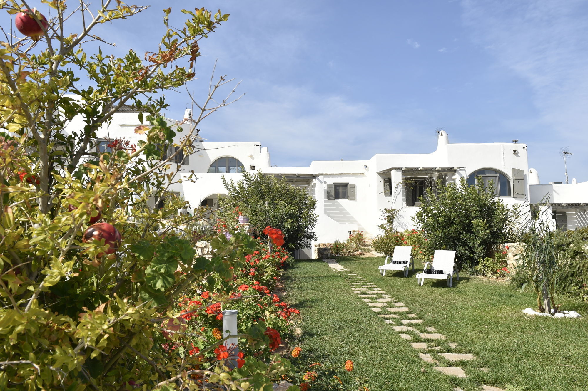 Naoussa Hills Boutique Resort- Adults Only Párosz Kültér fotó