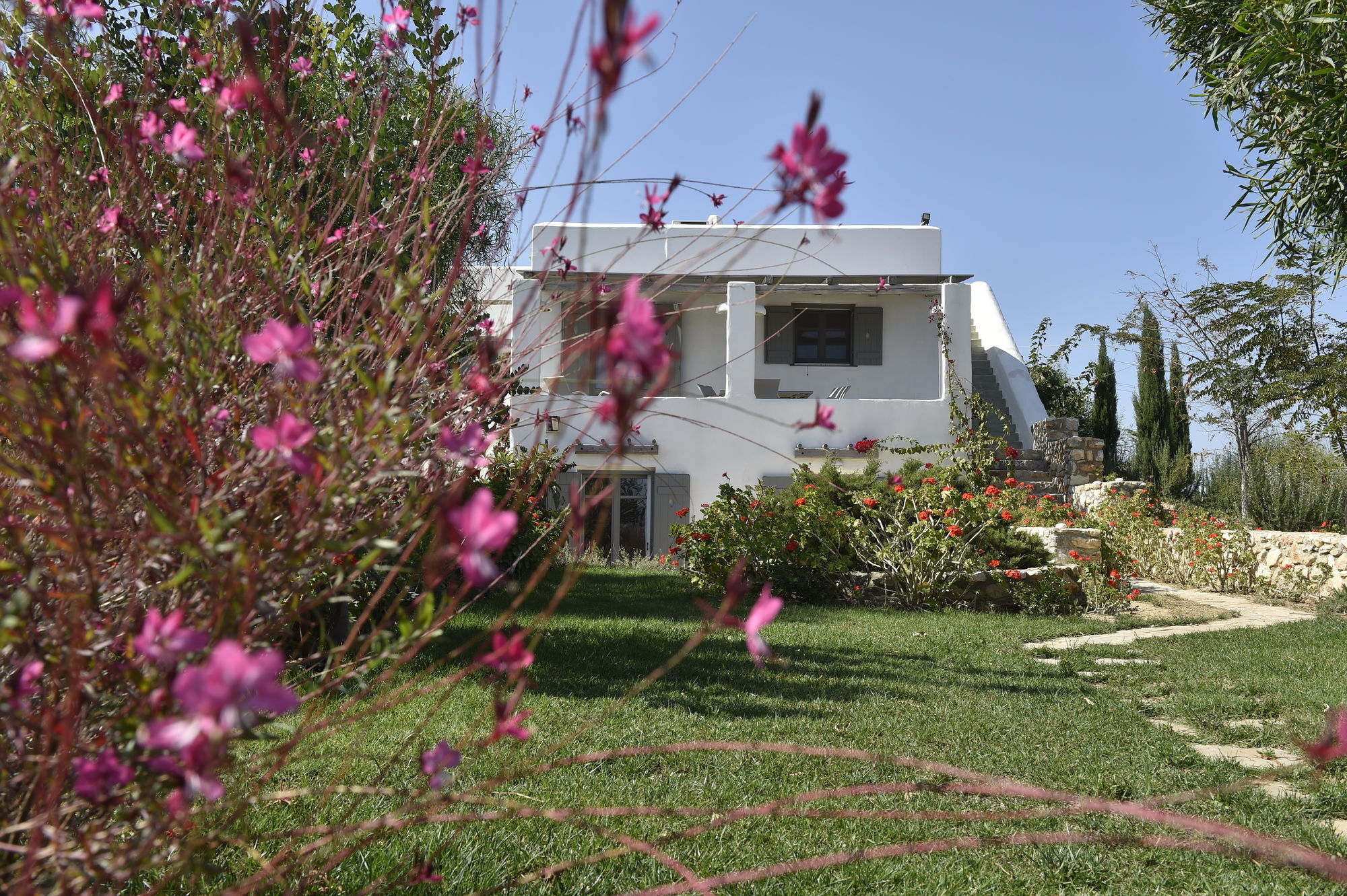 Naoussa Hills Boutique Resort- Adults Only Párosz Kültér fotó